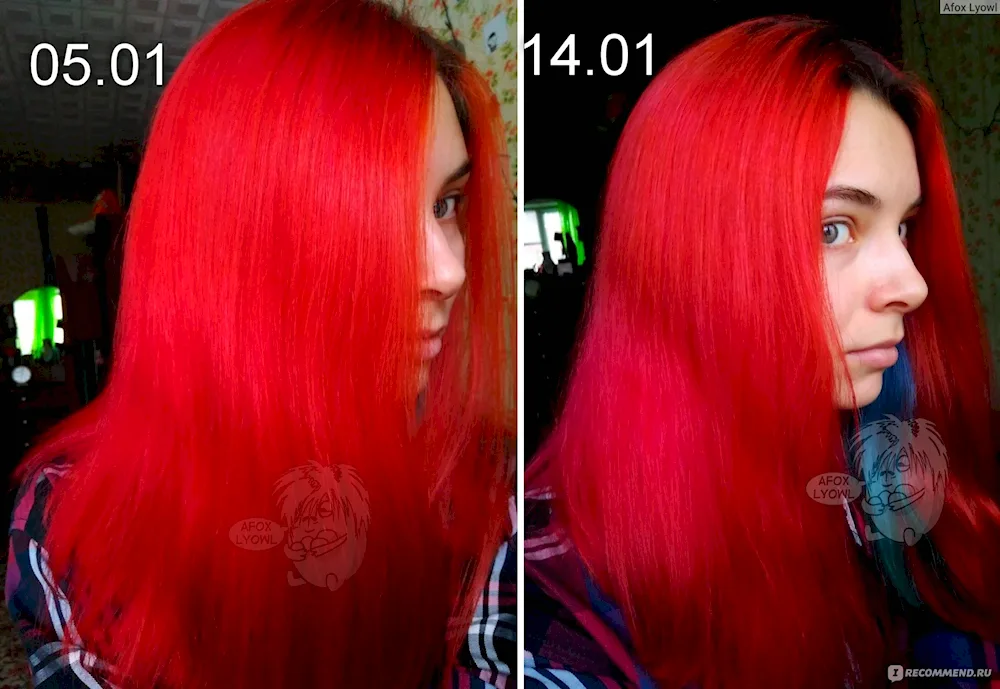 Tonic 5.35 Amber Red