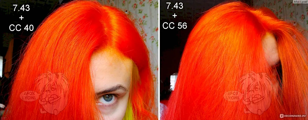 Tonica Red Amber