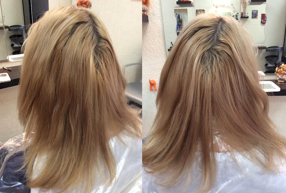 Toning hair beige blonde