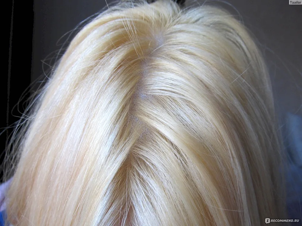 Estel blonde toning