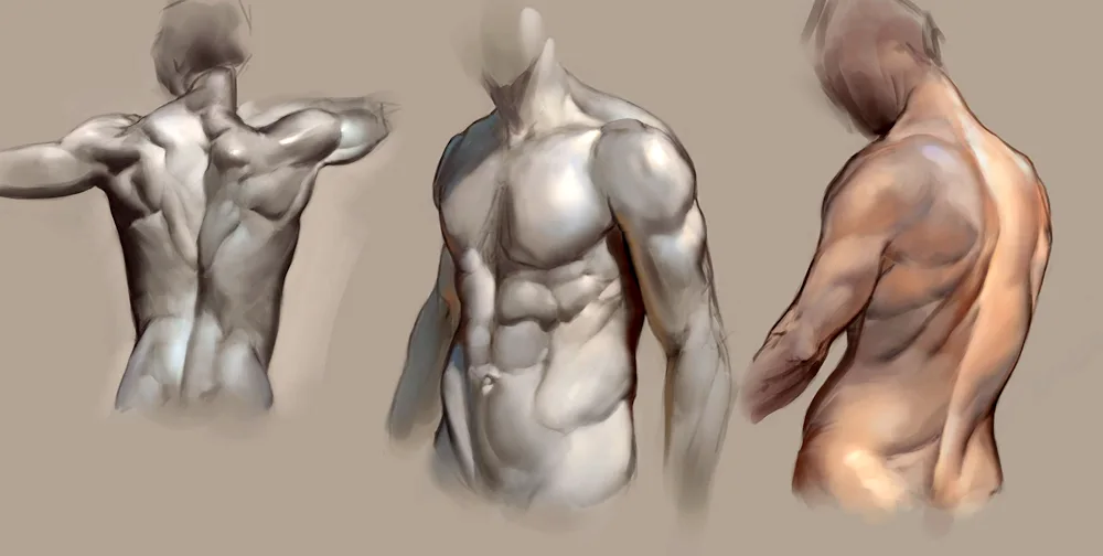 Human anatomy back reference