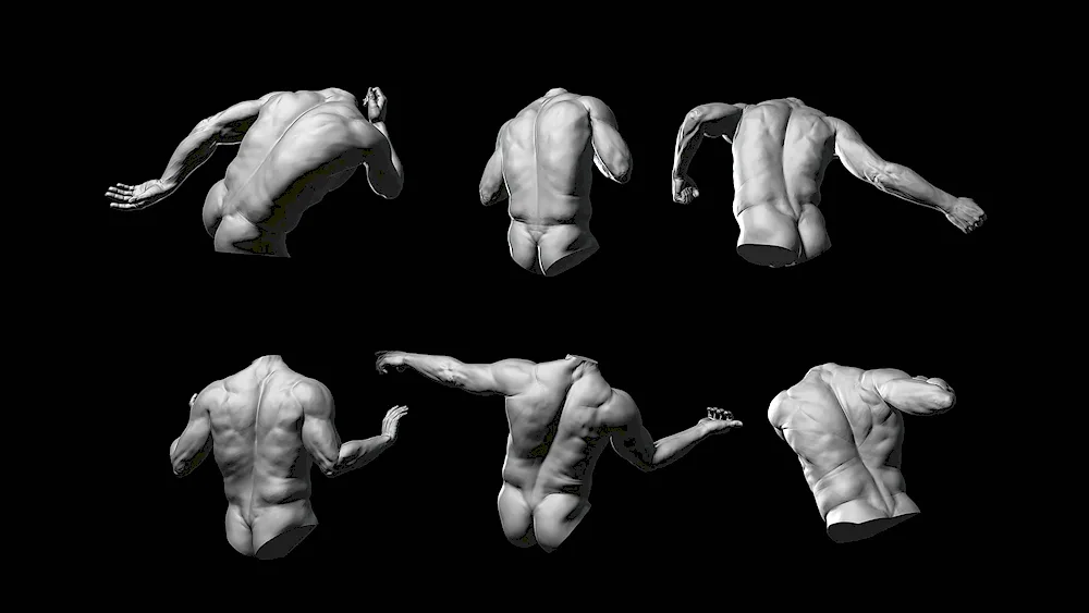 Man back reference