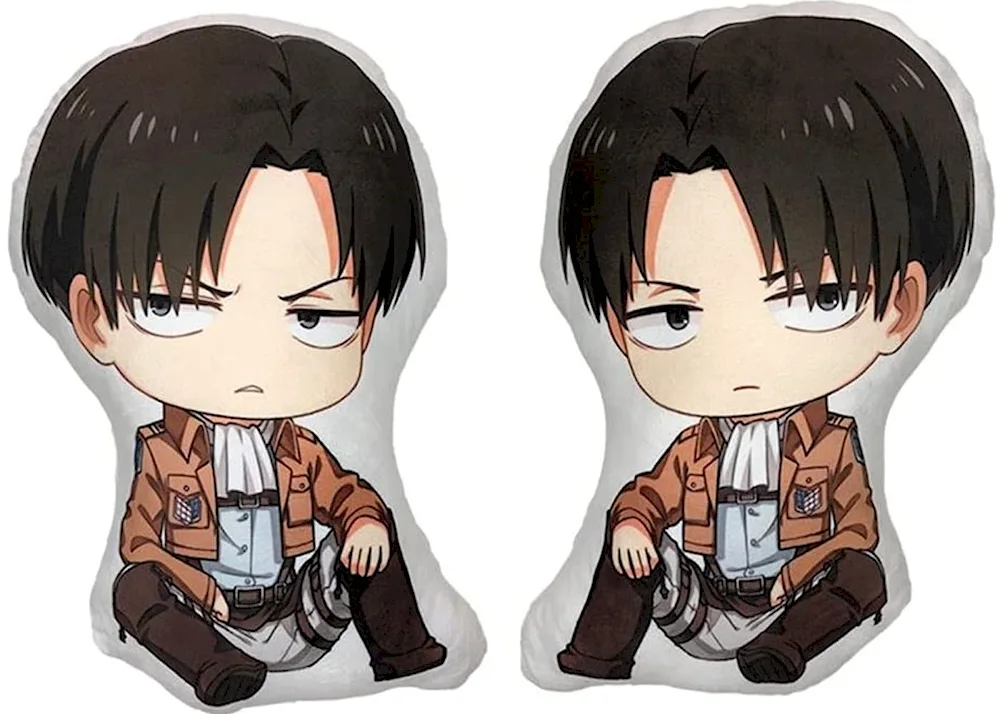 Cake with Levi Ackerman