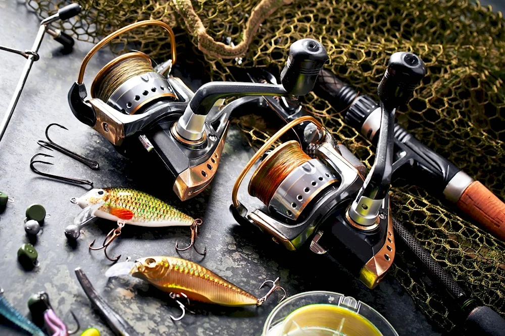 Nature fishing