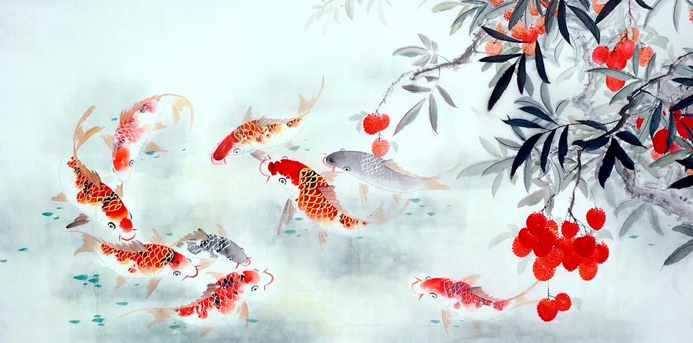 Koi carp koi voiletail