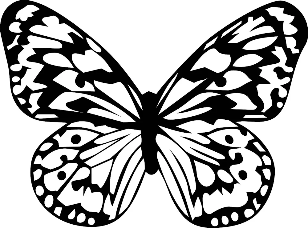 Butterfly stencils