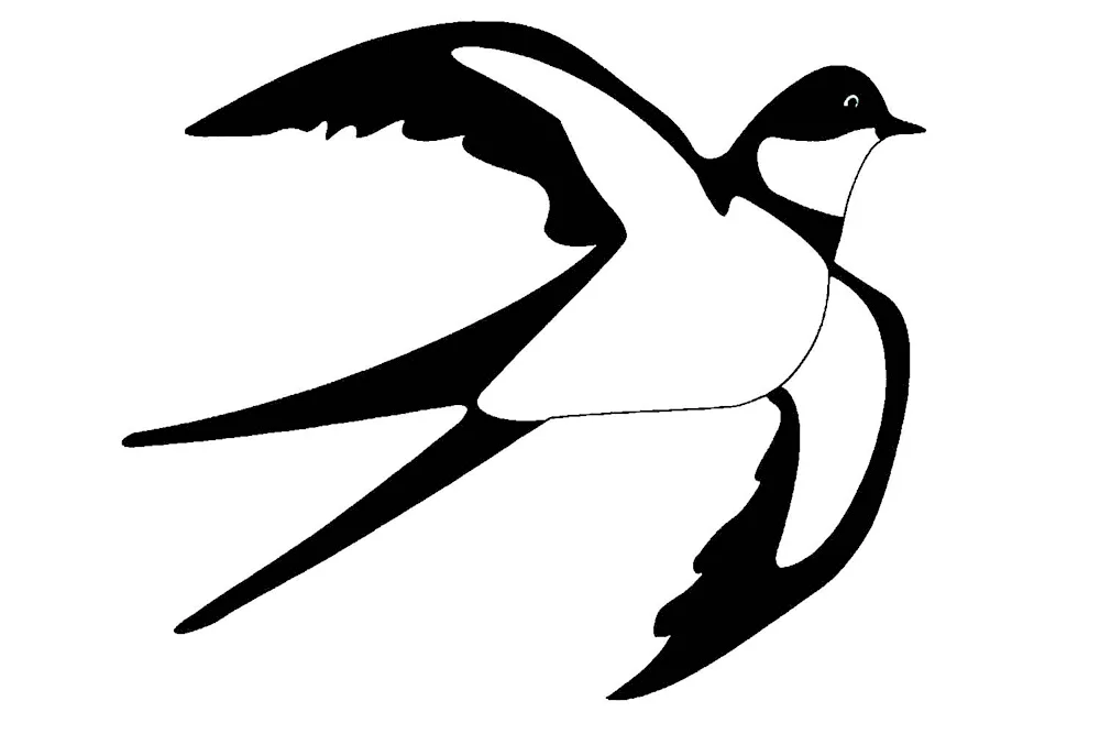 Swallow stencil