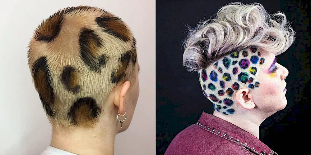 Leopard hair colouring