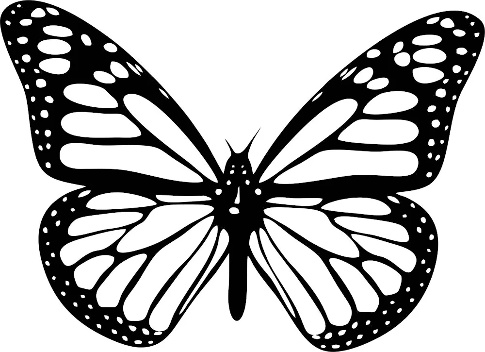 Butterfly wallpaper