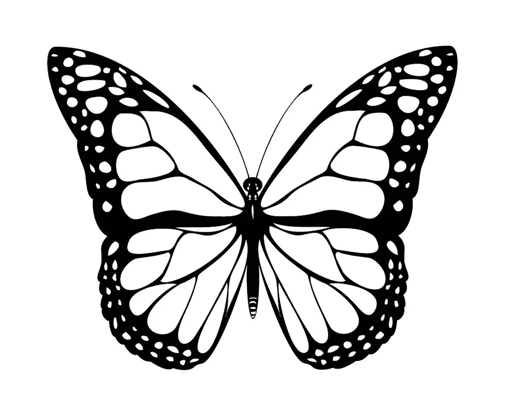 Butterfly template