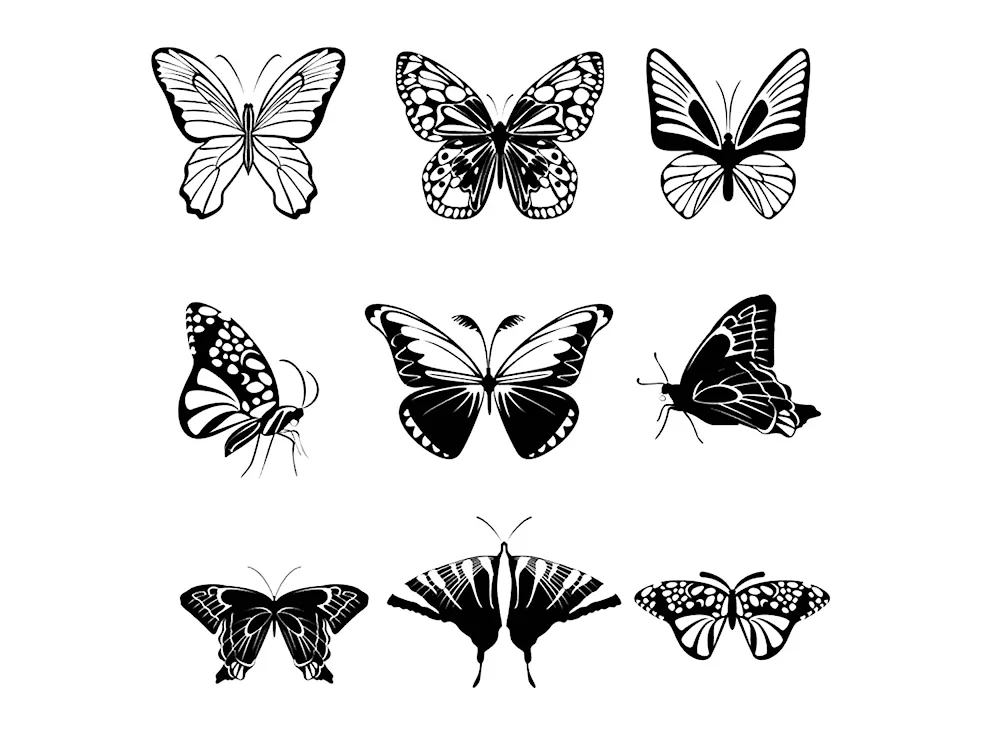 Butterfly stencils