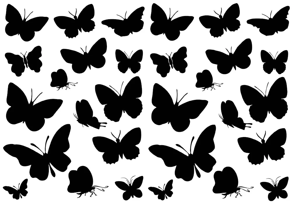 Butterfly stencils