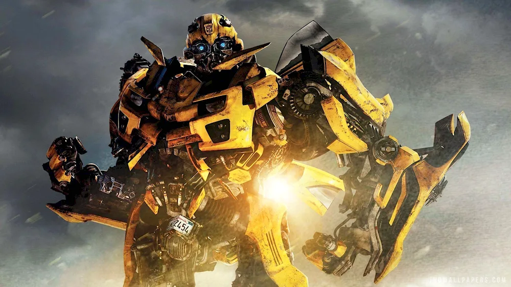 Bumblebee 1