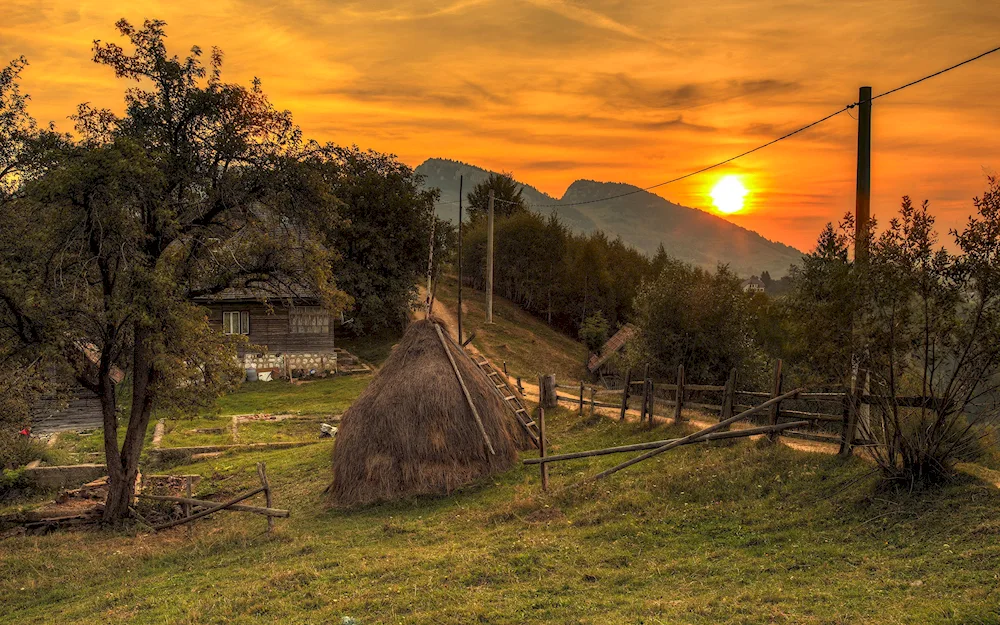 Transylvania Romania nature