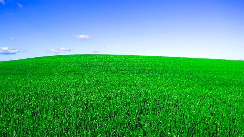 Green background