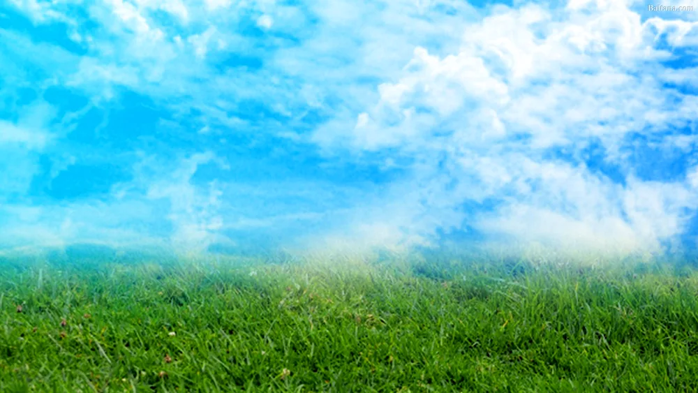 Grass and sky