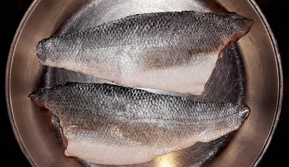 Tresca baramundi