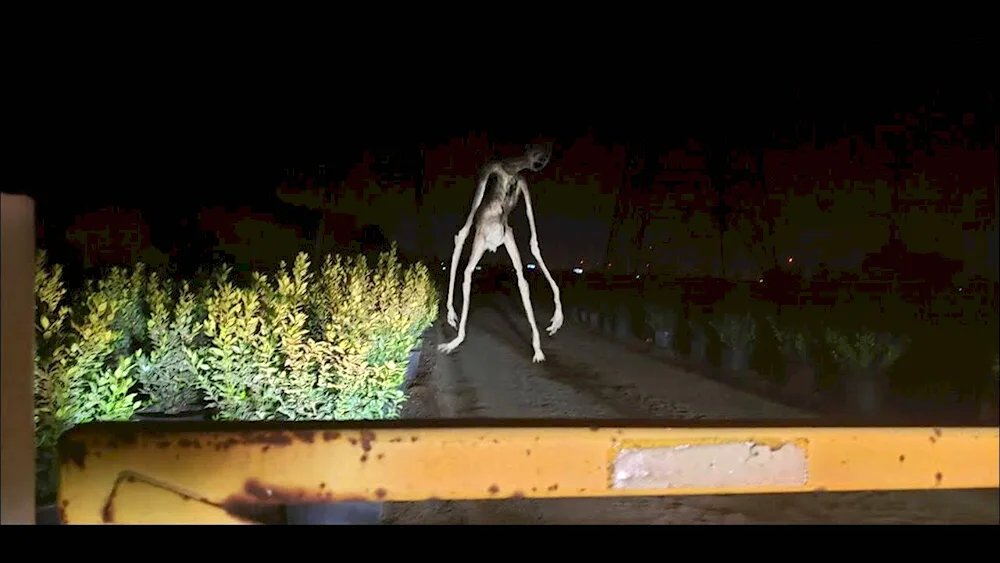 Trevor Henderson monsters lanky horse