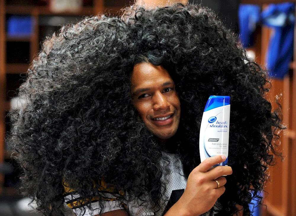 Troy Polamalu's hair