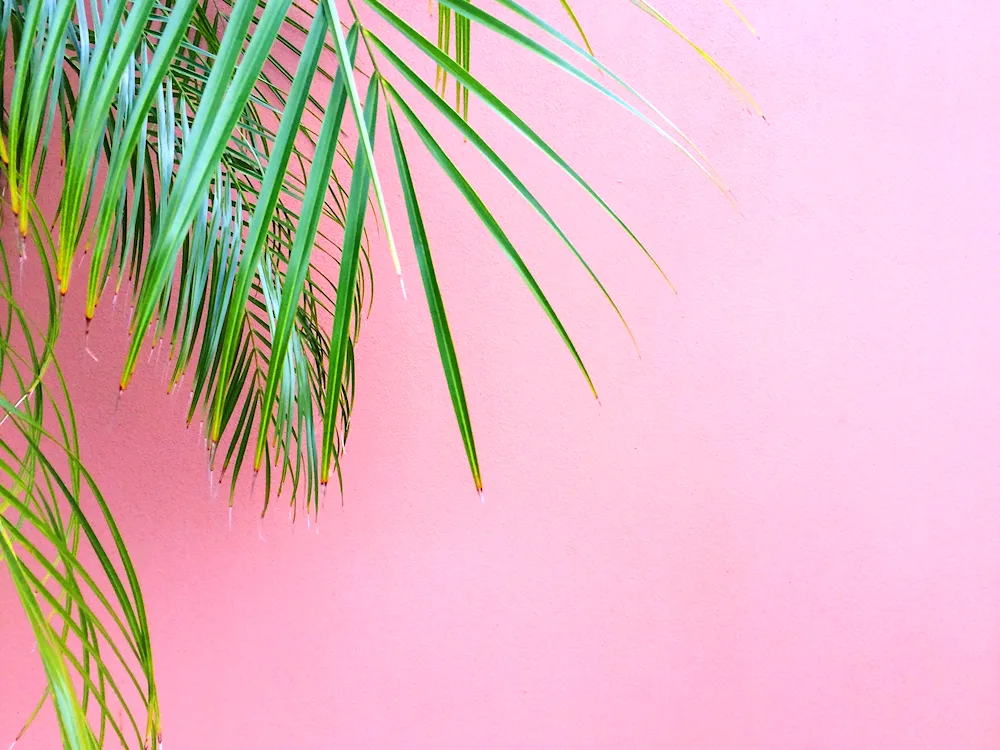 Aquarel background