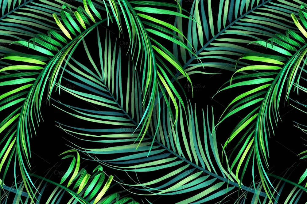 Tropical palm fern background