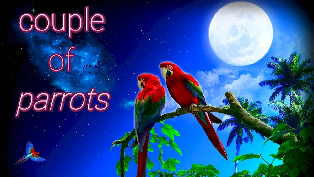 Neuropean parrots