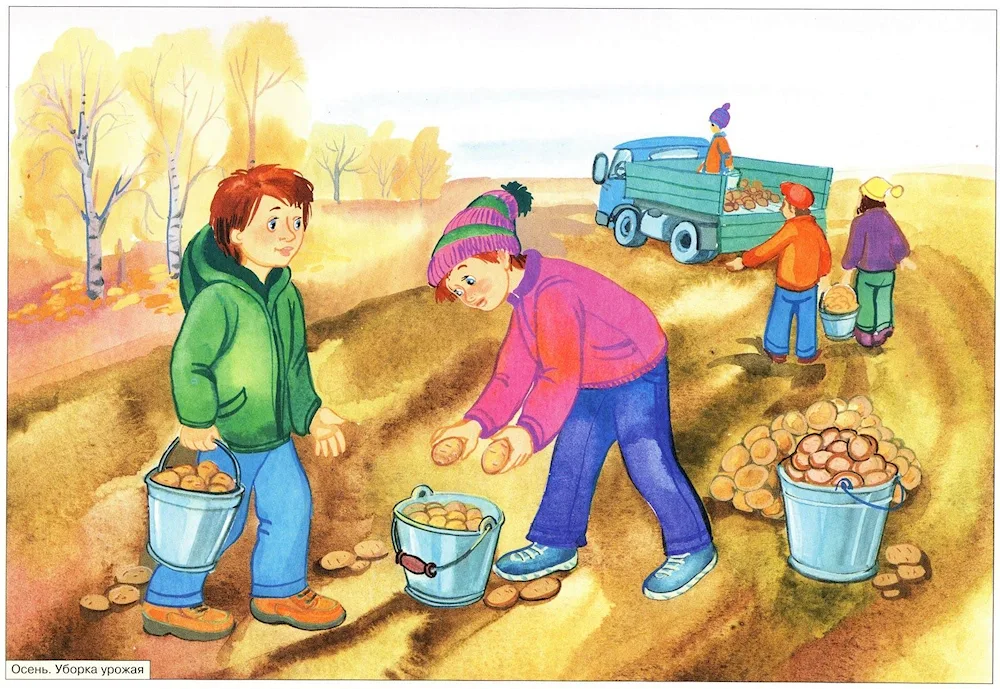 The work of people in autumn