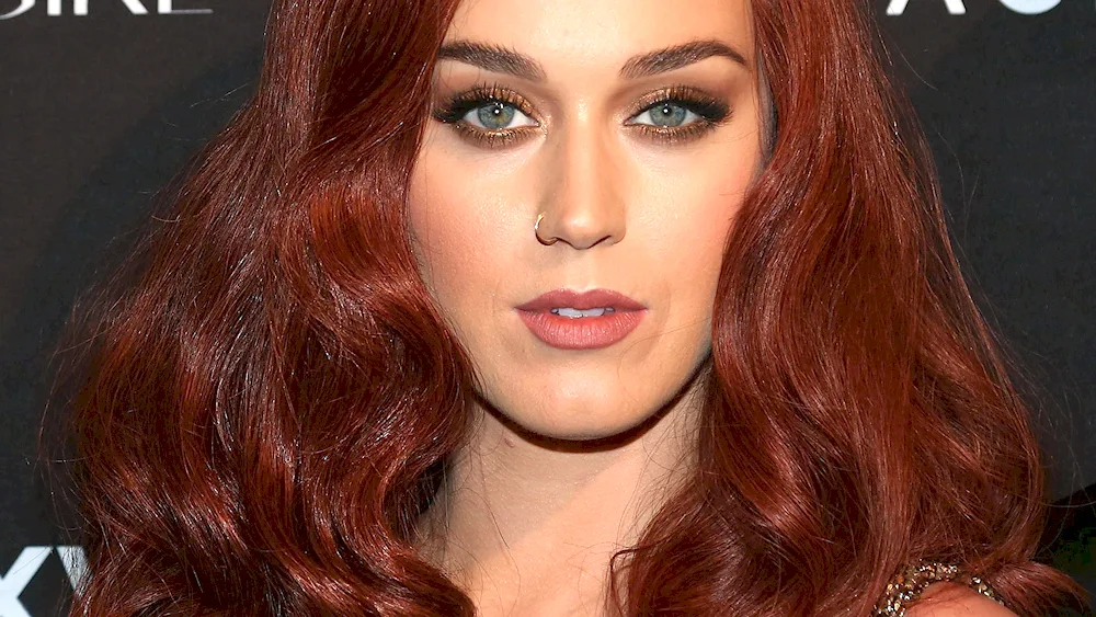 Garnier Hair Dye Palette 4.