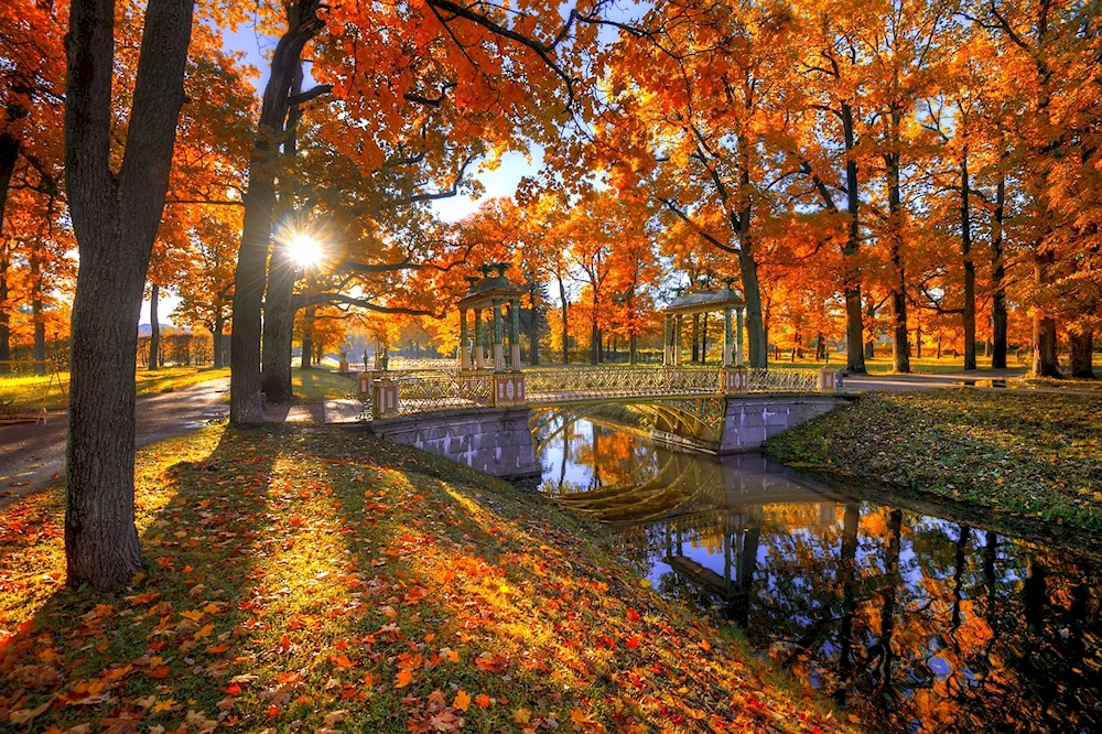 Tsarskoye Selo Park