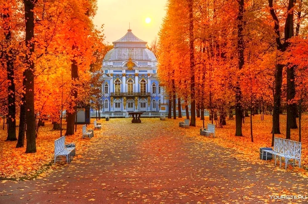 Tsarskoselsky Lyceum Catherine Park