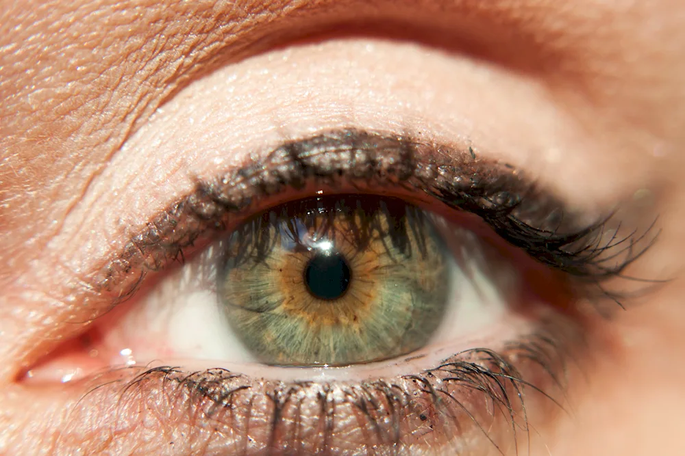 Hazel green eye colour