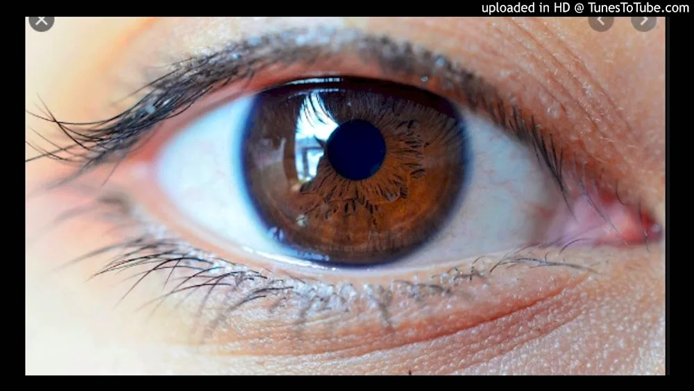 Hazel eye colour
