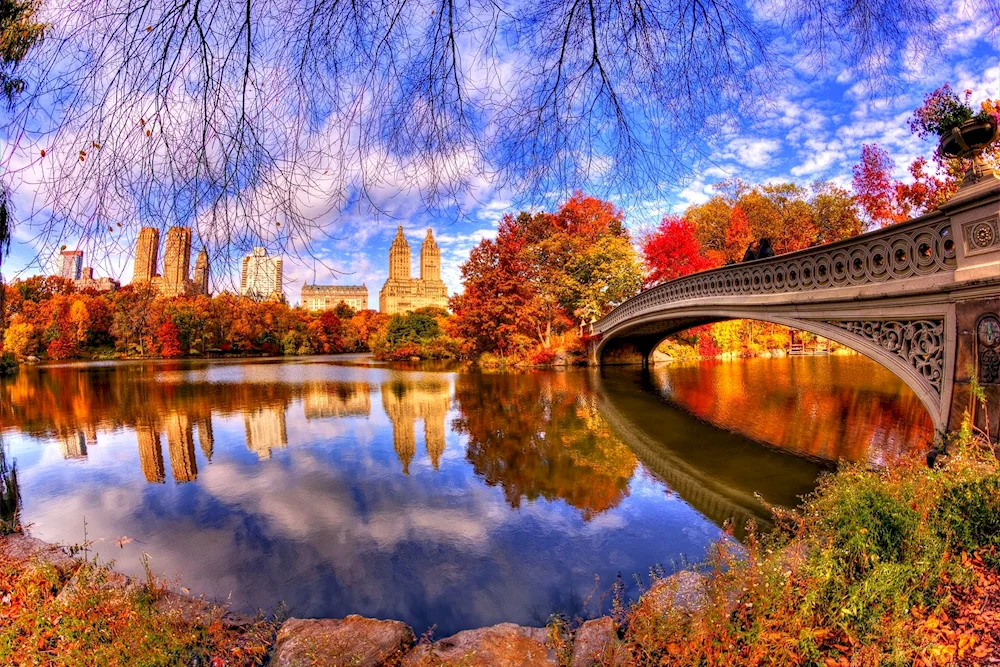 New York Central Park York