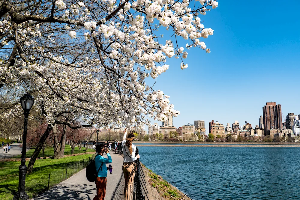 New York Central Park New York