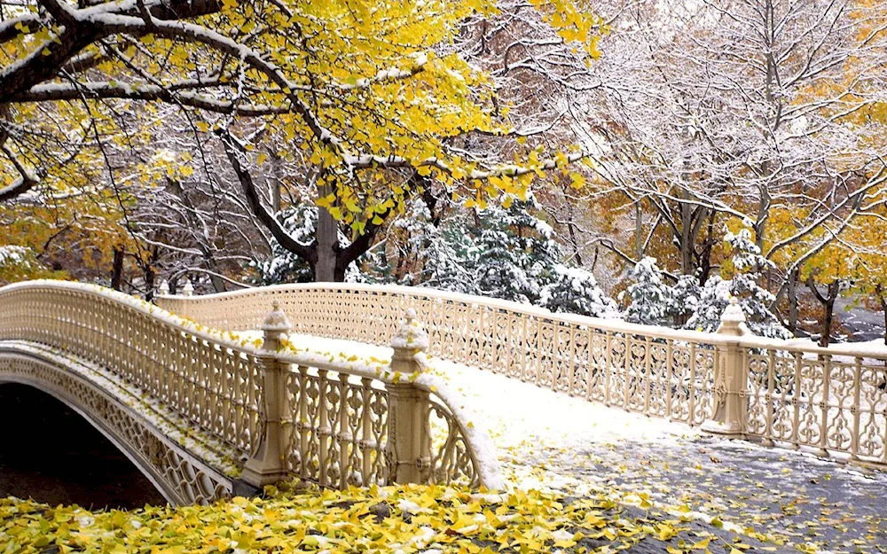 Central Park New York. York Bridge