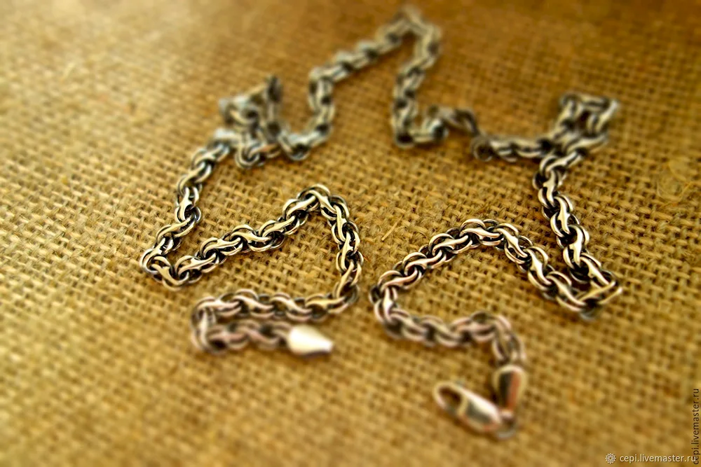 Garibaldi chain in silver