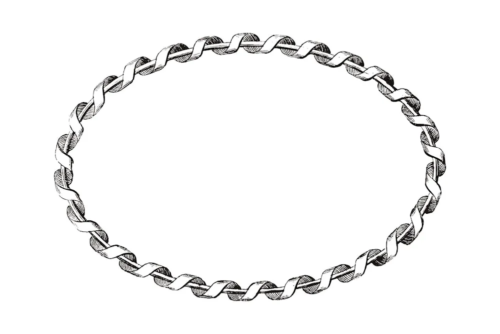 Chain vector