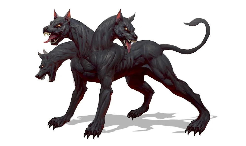 Cerberus dog Aida