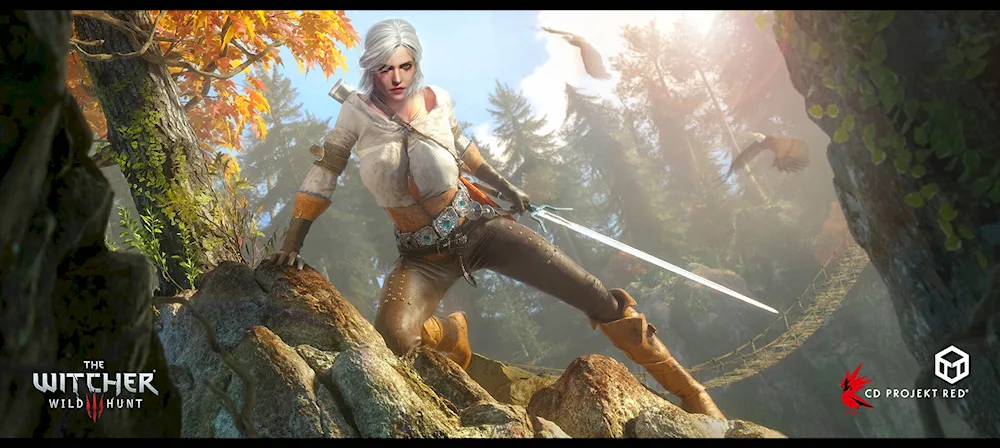 Ciri The Witcher