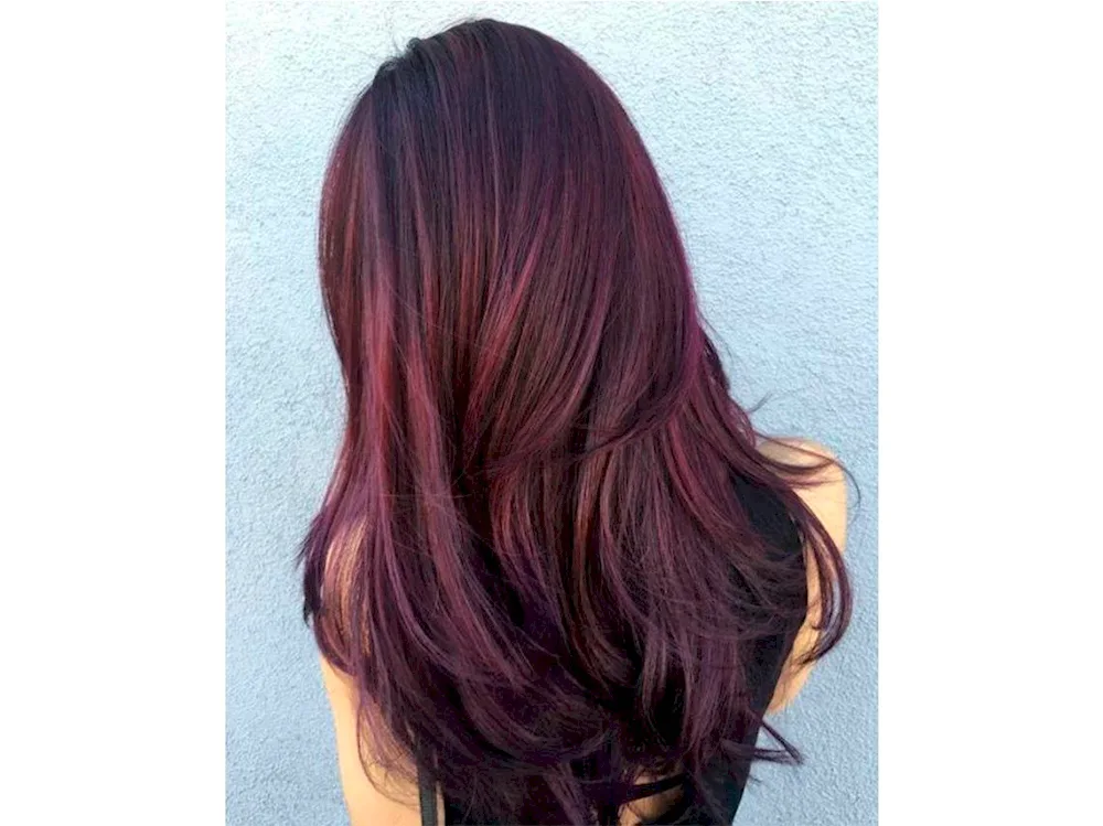 Aubergine hair colour