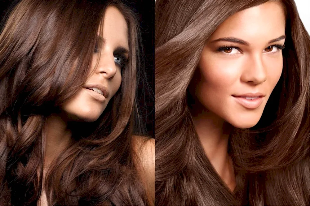 Mocha chocolate chestnut hair colour