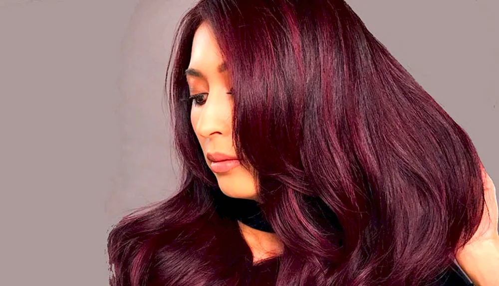 Mahogany Mahogany Mahogany hair colour 5546