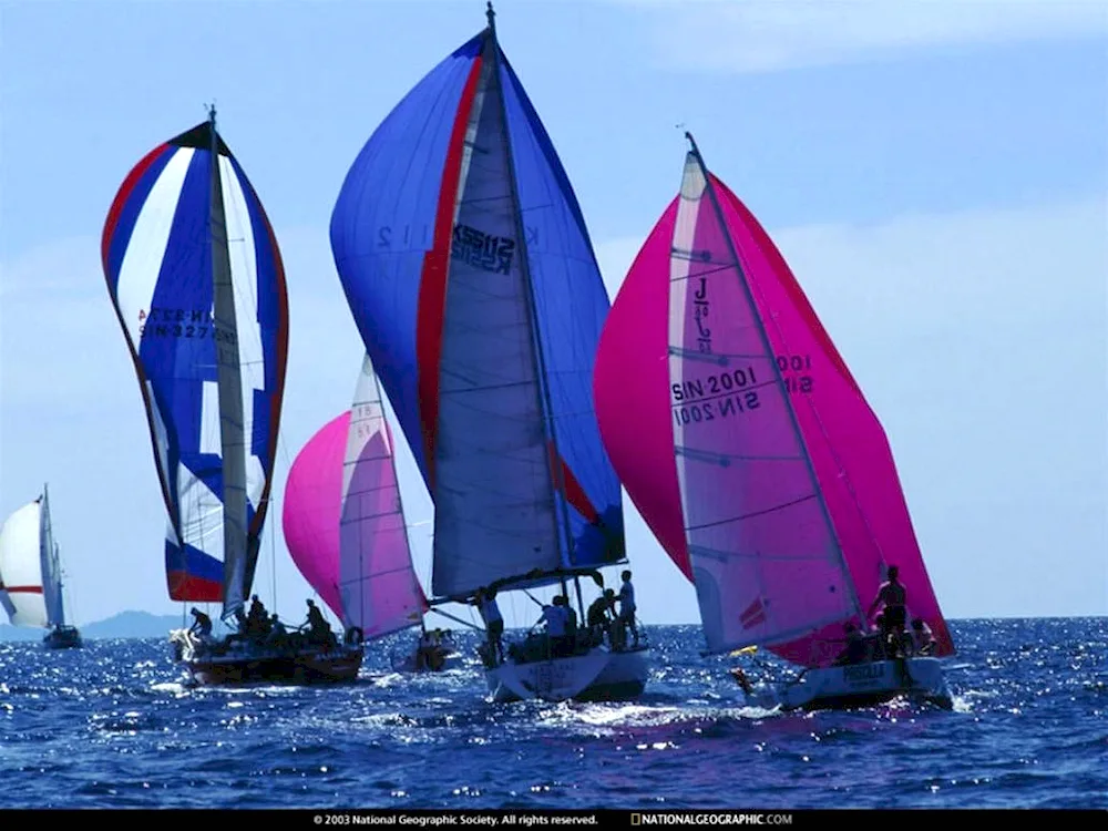 Yacht sailing regatta