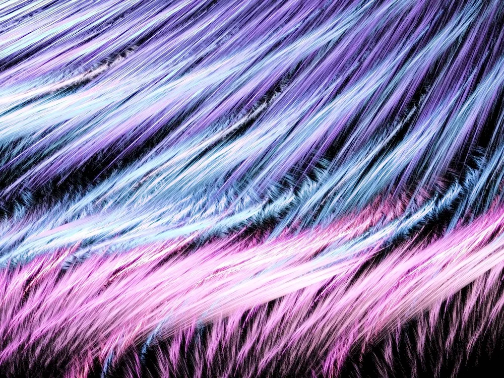 Coloured feathers