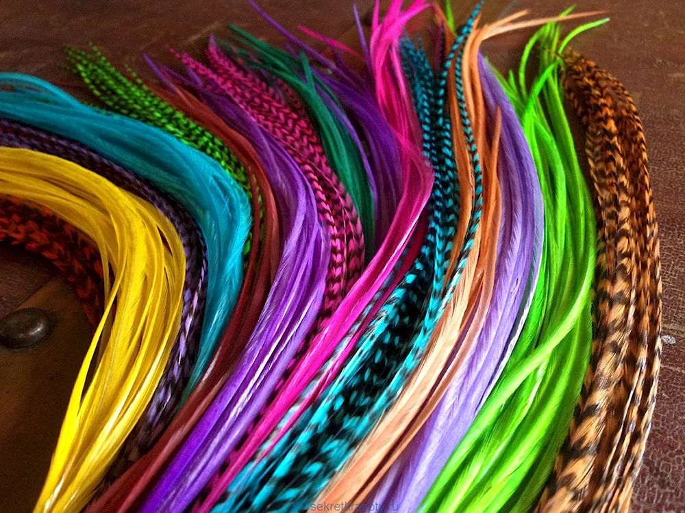 Colourful feathers in the hair