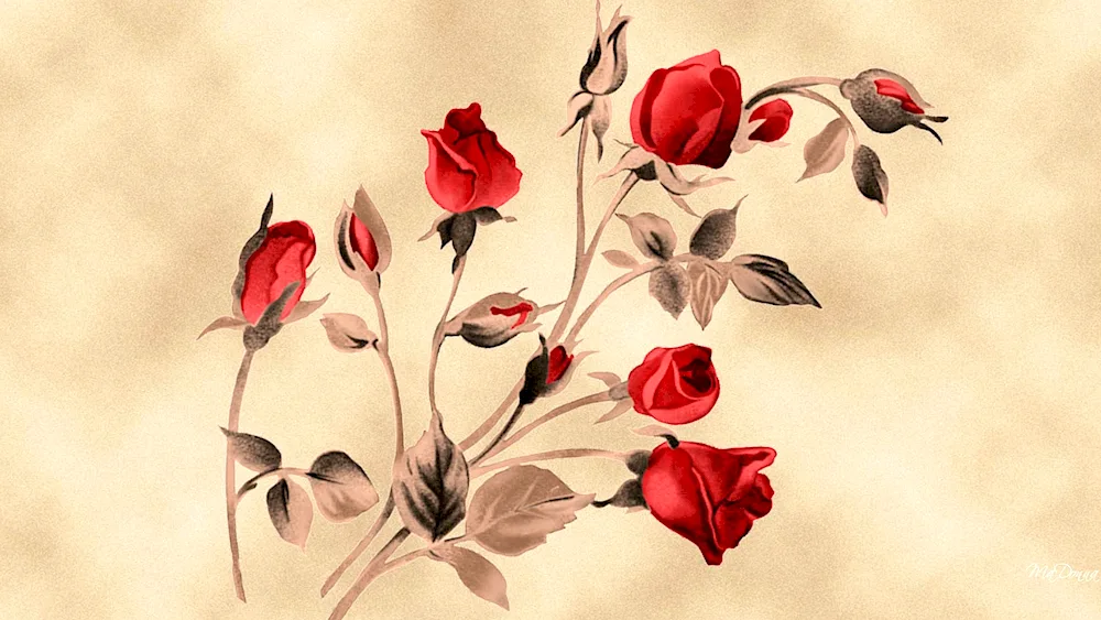 Flowers abstract