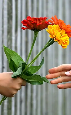 Flower on hand.