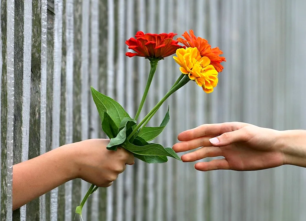 Flower on hand.