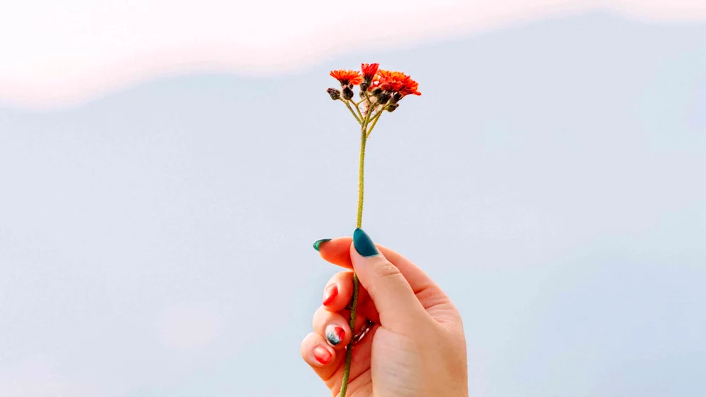 Flower on hand.