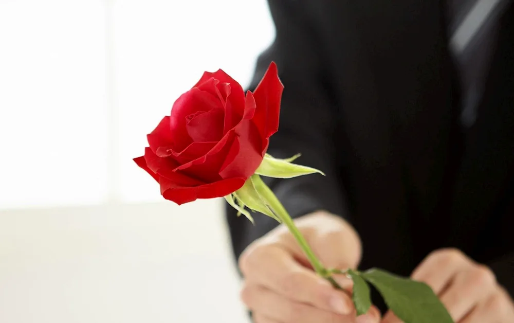 Flower on hand.